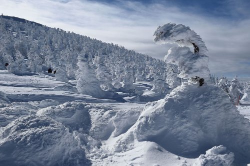 Снежные монстры на горе Дзао (6 фото)
