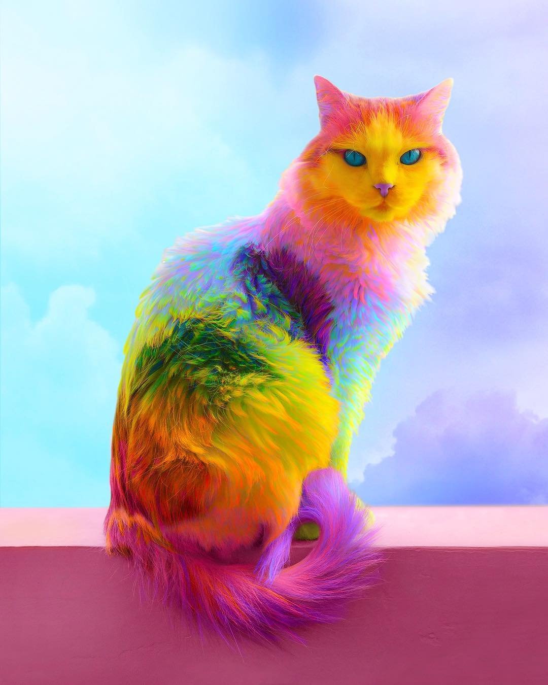 Радужная кошка
