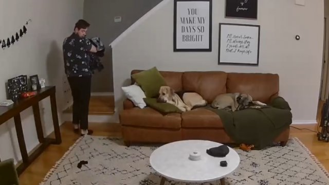 Когда собака в доме ─ настоящая помощница