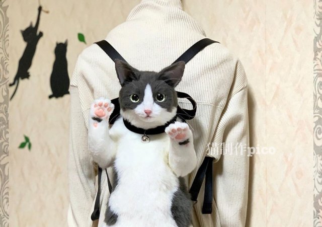 Суперреалистичный рюкзак в виде кошки (8 фото)
