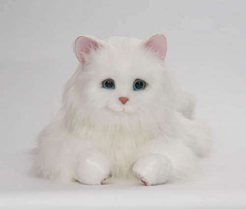 Новый мяукающий, мурлыкающий и очень реалистичный робо-кот из Японии реагирует на вас тем сильнее, чем больше вы его гладите (7 фото + видео)