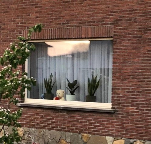 Зачем в Бельгии в окна выставляют плюшевых мишек (9 фото)