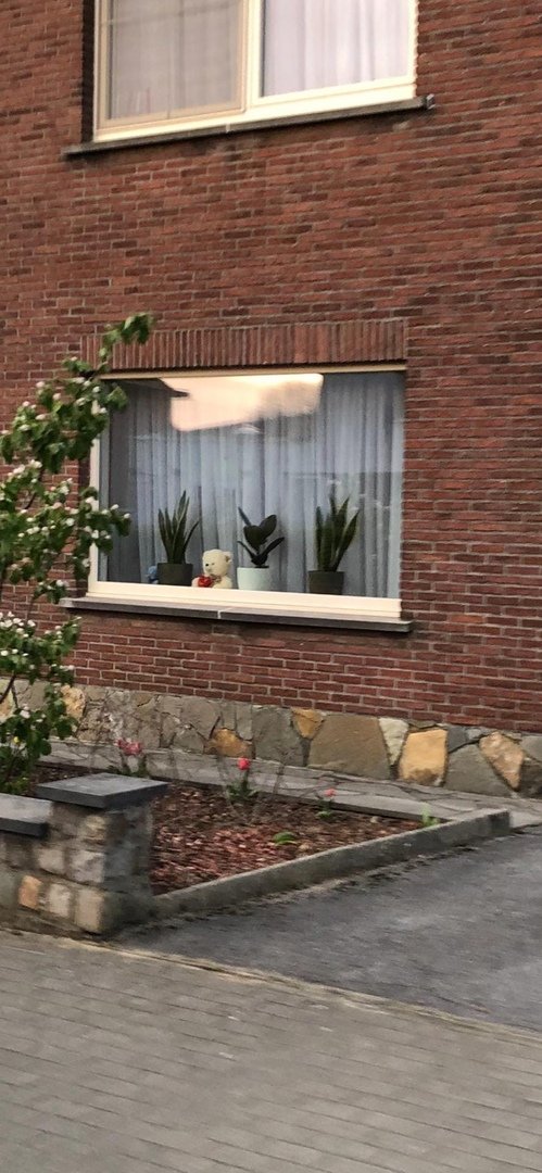 Зачем в Бельгии в окна выставляют плюшевых мишек (9 фото)