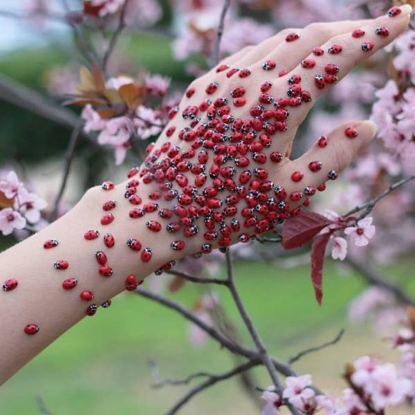 Весна идёт ─ весне дорогу! (29 фото)