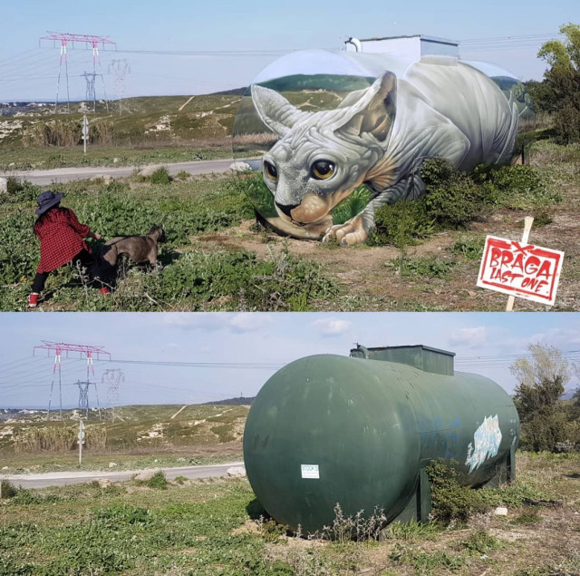Французский уличный художник Braga превратил резервуар для бензина в гигантского трёхмерного сфинкса (27 фото)