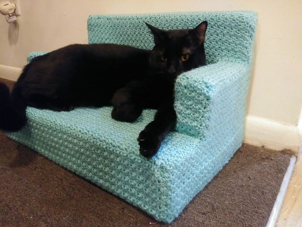 Сидящие на карантине Интернет-пользователи вяжут для своих кошек маленькие диванчики (17 фото)