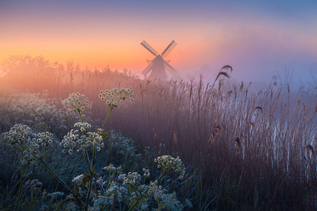 Красота Нидерландов в пейзажных фотографиях Альберта Дроса (28 фото)