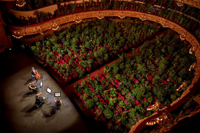 В Барселонском оперном театре дали первый посткарантинный концерт для... 2292 растений (7 фото + видео)