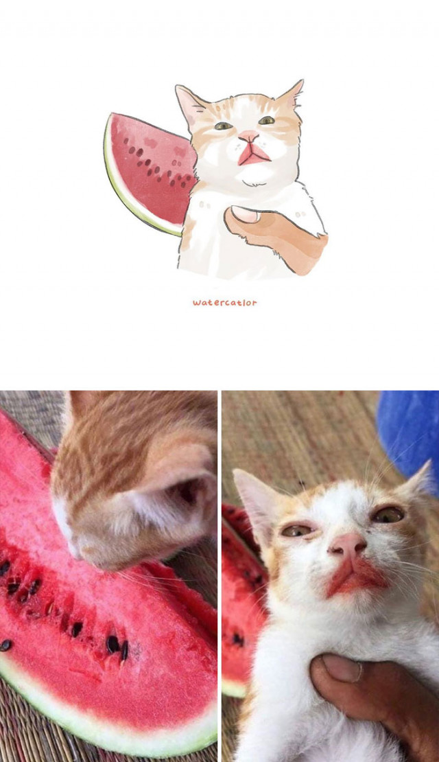 Акварельные версии популярных фотографий с кошками от Амелии Ризки (30 фото)