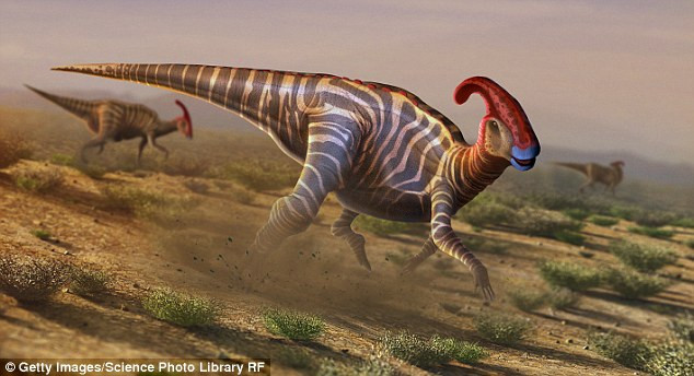 Топ-10: Причудливые факты, которые изменят ваше представление о динозаврах