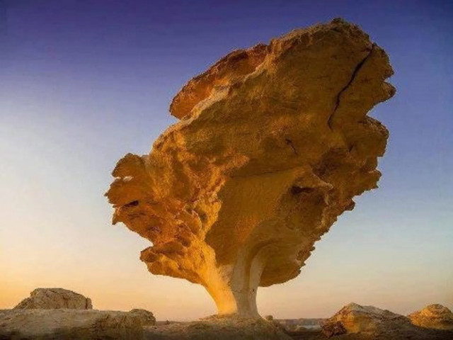 Волшебная белая пустыня Западного Египта (11 фото)