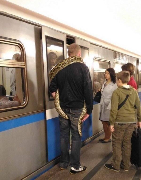 Странные и неожиданные пассажиры метро. ФОТО