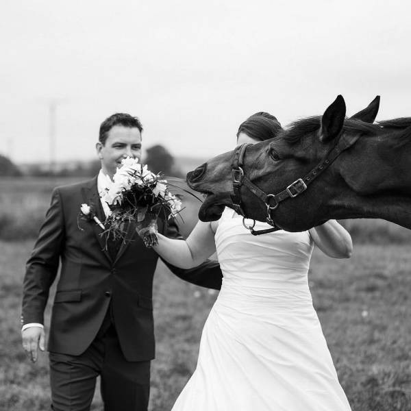 Свадебные фотографии, которые вызовут улыбку (31 фото)