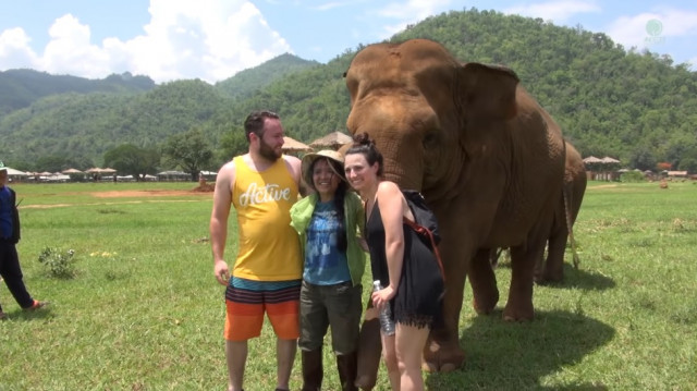 Слониха стала отталкивать смотрительницу от посетителей и повела к слонёнку, чтобы она спела колыбельную
