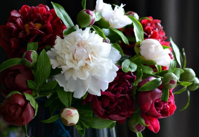 Потрясающе реалистичные фарфоровые цветы Олеси Галущенко (11 фото)
