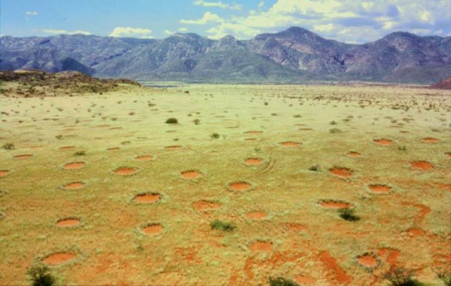 Таинственные "волшебные круги" Намибии (3 фото)