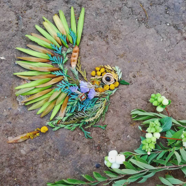 Ботаническое "птичье" искусство Ханны Буллен-Райнер (29 фото)