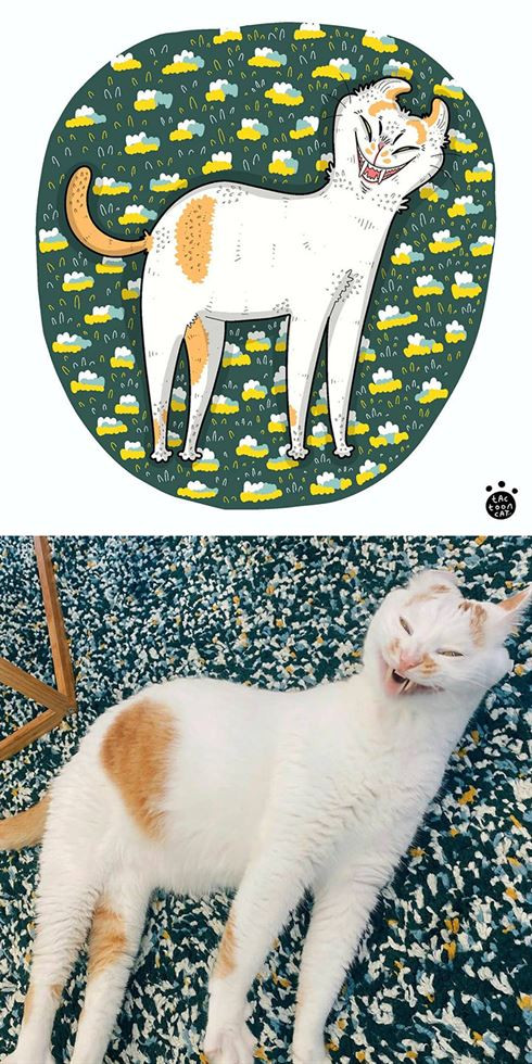 Индонезийский художник проиллюстрировал самые популярные мемы с кошками (41 фото)