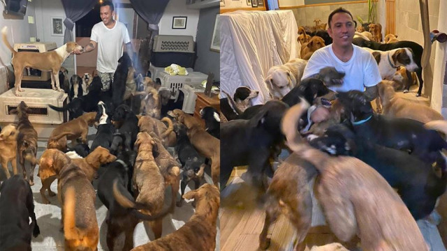 Мужчина приютил у себя дома сотни бездомных собак, чтобы защитить их от урагана (3 фото + видео)