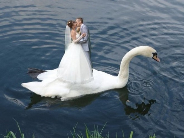 Сумасшедший свадебный фотошоп. ФОТО