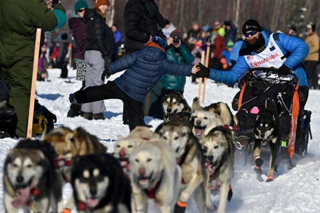 На Аляске состоялись гонки на собачьих упряжках 2021 Iditarod Trail (23 фото)