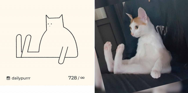 Самые минималистичные рисунки кошек (36 фото)