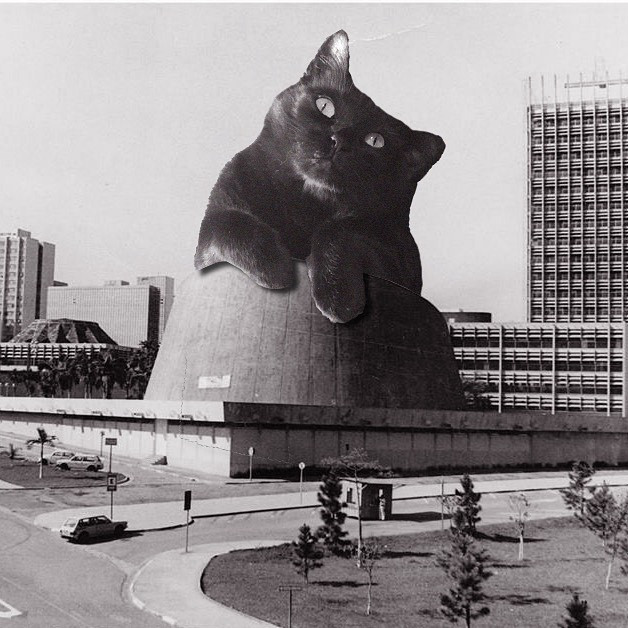 Кошки брутализма: Instagram-аккаунт, в котором бруталистская архитектура сочетается с гигантскими кошками (39 фото)