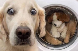 Пятничные фото-приколы (26 шт)