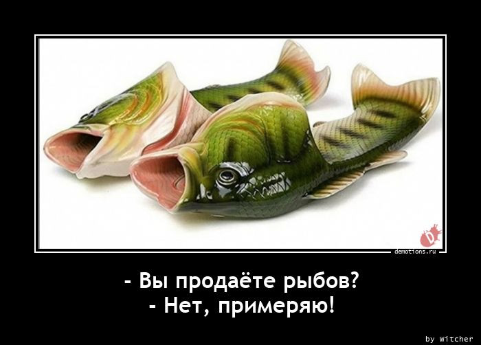 Рыбов продаете красивые. Рыб продаете красивое. Рыба продаёте показываем красивая. Картинка вы Рыбов продаете. Прикол про Рыбов и красивое.