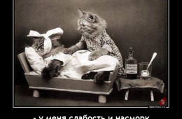 Свежая порция демотиваторов (13 фото)