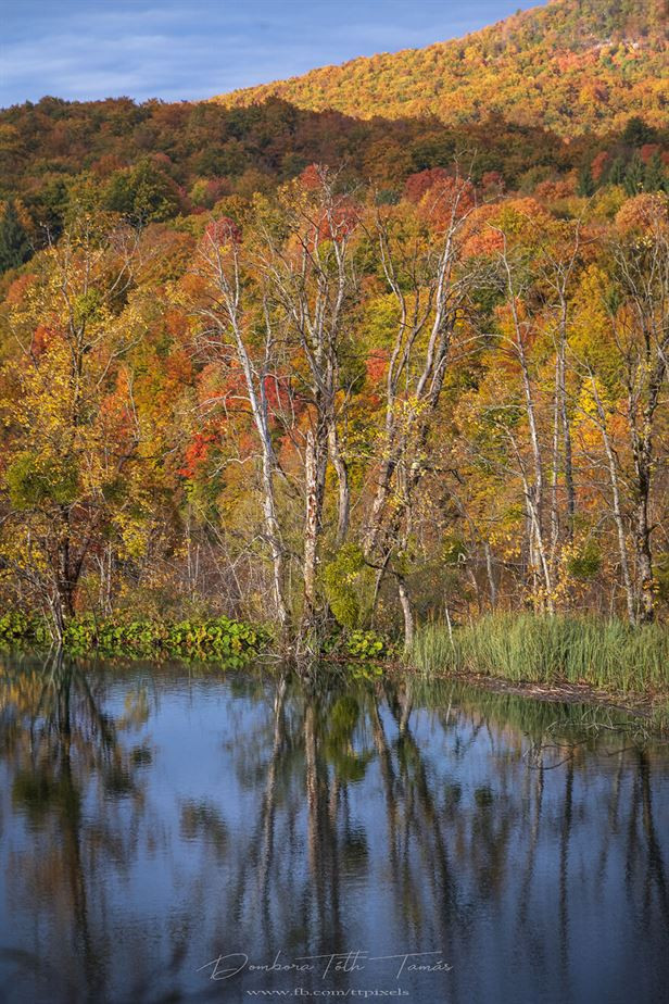 Осенняя красота Плитвицких озёр (20 фото)