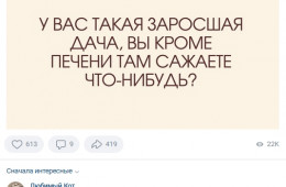 Прикольные комментарии и смс-переписка (16 фото)