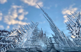 20 фотографий, доказывающих, что зима — талантливая художница с большой фантазией