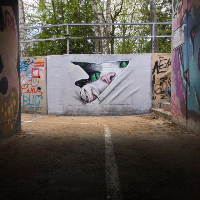 Новые граффити уличного художника JPS (16 фото)
