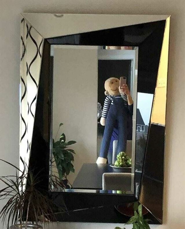 30 человек, которые хотели сфотографировать зеркало незаметно, но потерпели фиаско