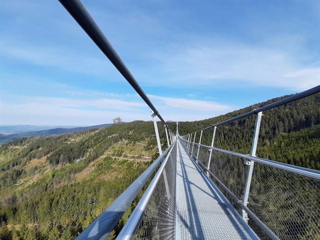 Не смотрите вниз! В Чехии открылся самый длинный в мире подвесной мост (7 фото + видео)