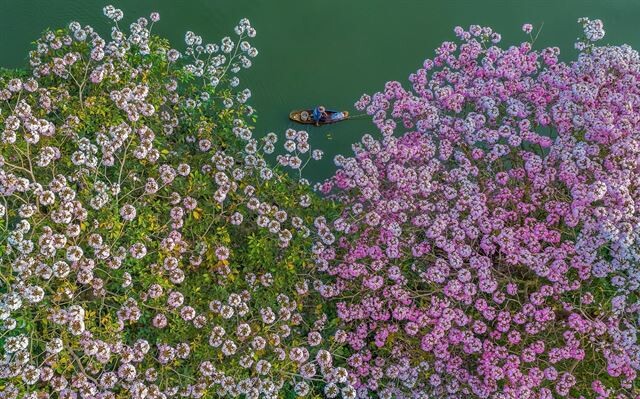 Роскошные аэрофотоснимки вьетнамского фотографа Фам Хюи Чунга (12 фото)