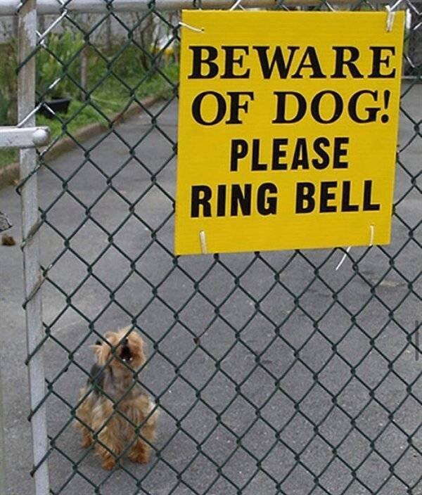 Осторожно, злые собаки