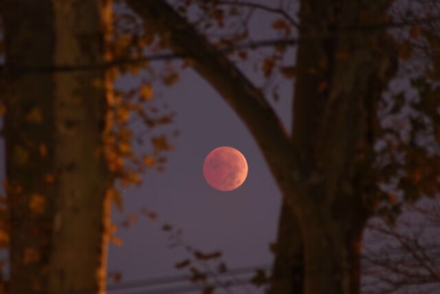 Фотографии полного лунного затмения 8 ноября 2022 года (14 фото)
