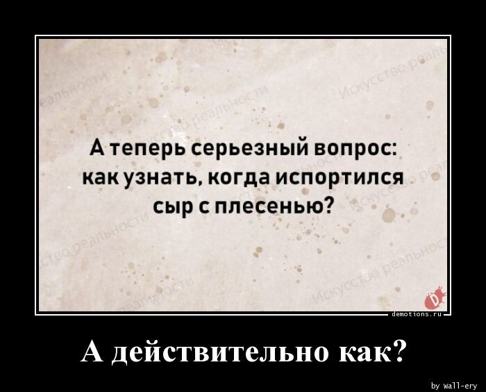 Сыр с плесенью испортился. Смешно о серьезном. Серьезный вопрос. С юмором о серьезном. Время серьезных вопросов.