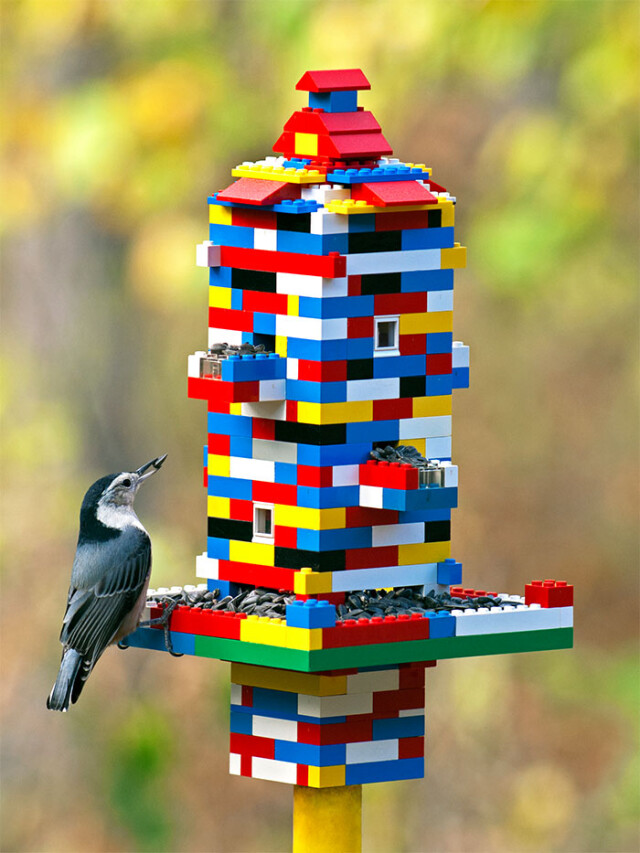 В сети покаали  необычные конструкции из LEGO