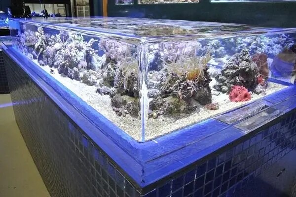 Топ-10: Самые экстремальные аквариумы в мире