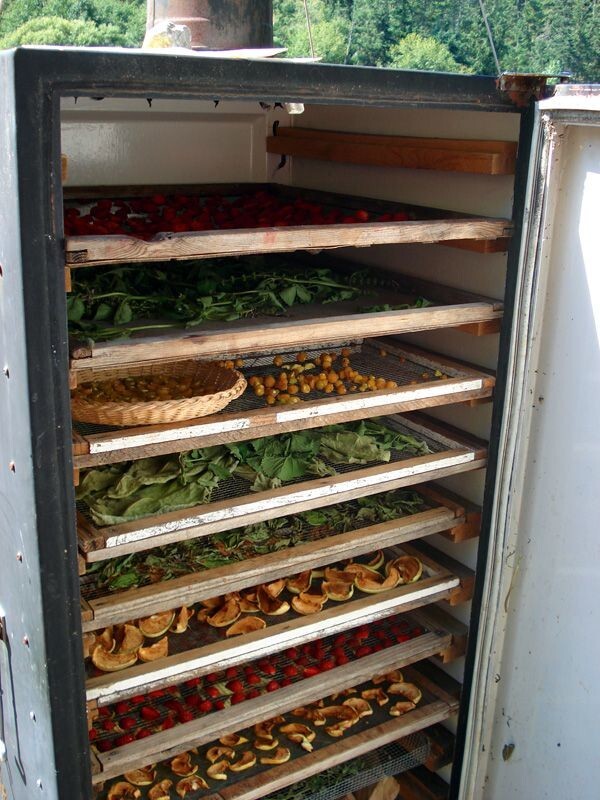 У мережі розповіли, як можна використати старий холодильник (фото)