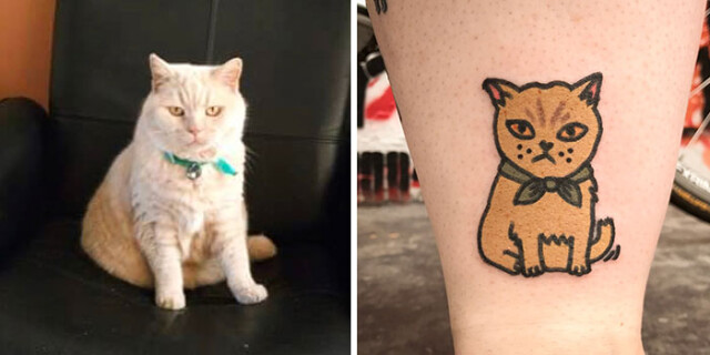 Мультфільм татуювання домашніх тварин (фото)