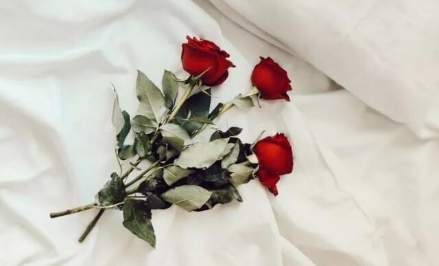Топ-10: Романтичні факти про червоні троянди