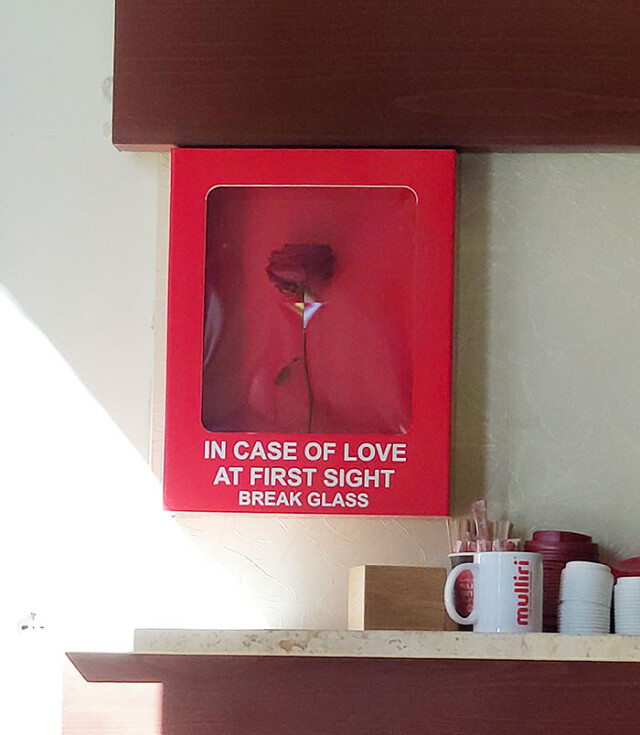 В сети показали креативные декорации ко Дню всех влюблённых