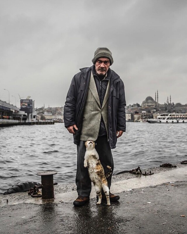 Уличные фотграфии со всех уголков сети