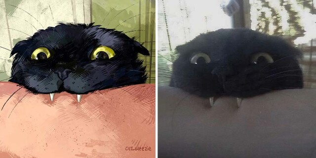 Мемные котики от Catwheezie (фото)