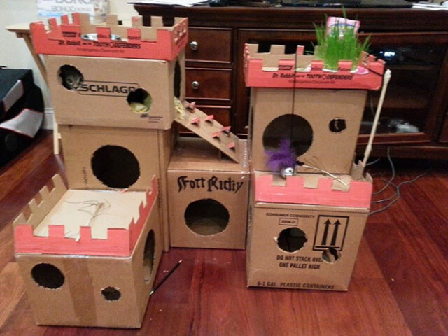 Забавные картонные замки для кошек
