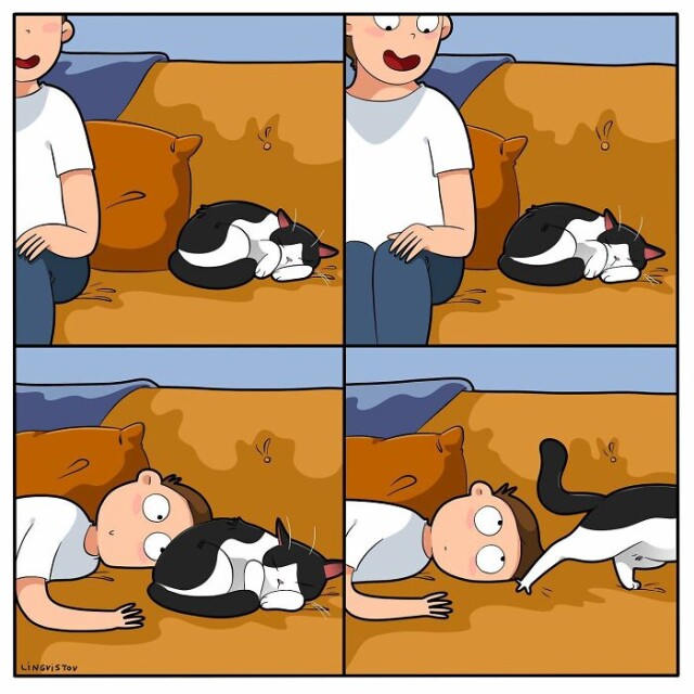 Забавные комиксы о реалиях жизни с кошкой (17 шт)